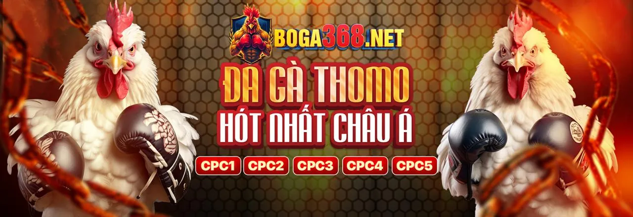 Đá Gà Trực Tuyến Vwin Link Mới